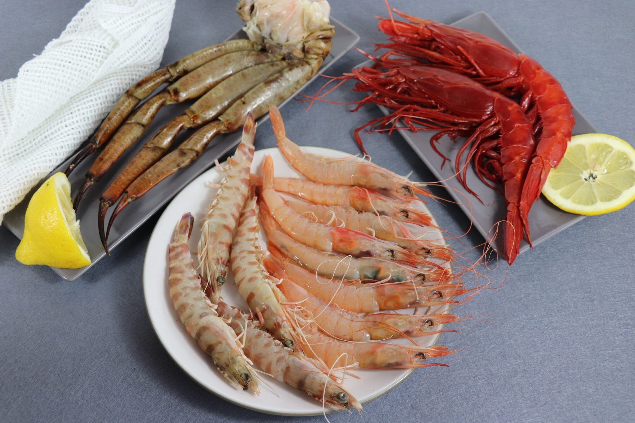 Cómo Conservar Marisco Fresco en Casa: Guía Completa 2026