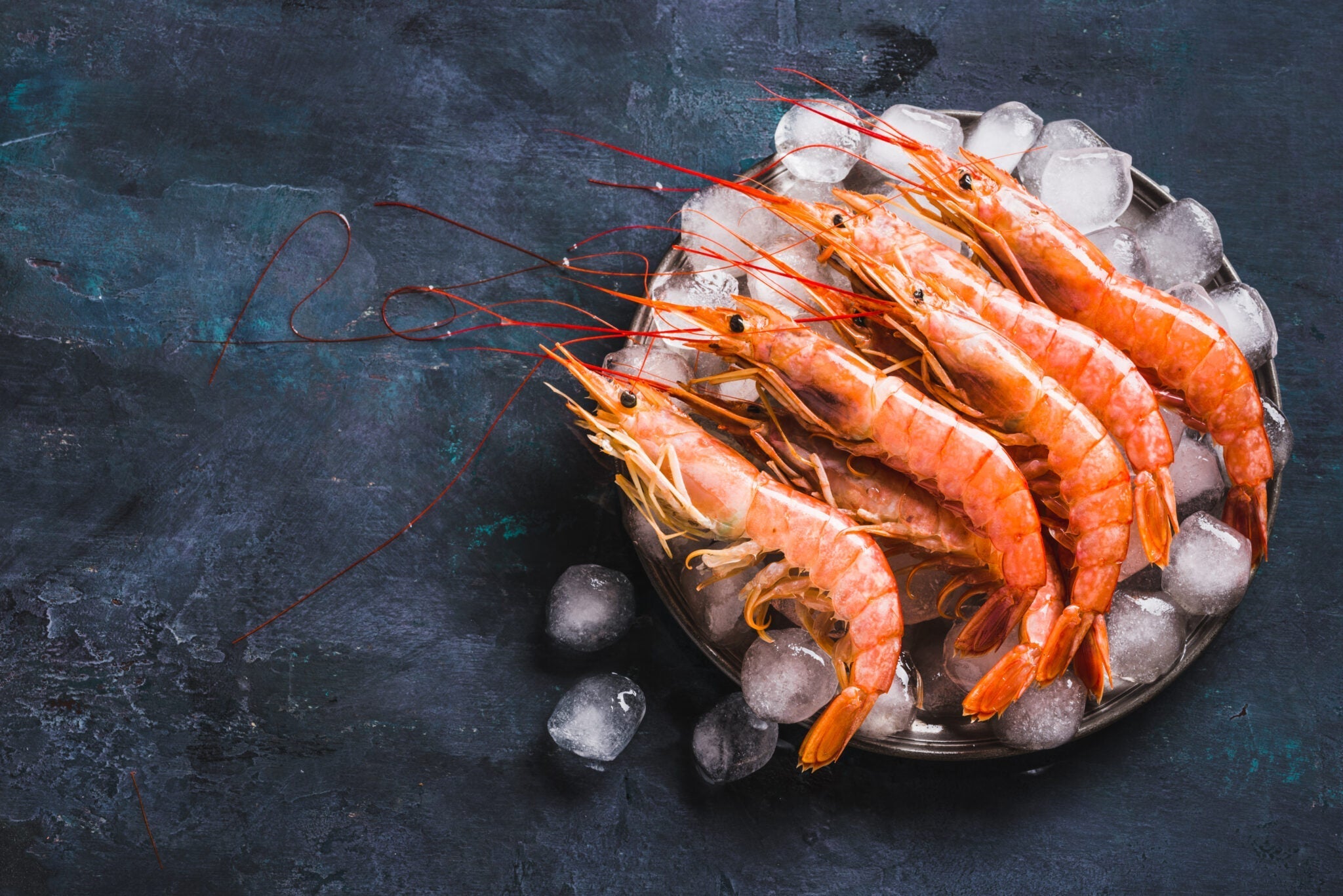 Gamba Blanca, Gamba Roja y Carabinero: Diferencias y Cuál Elegir