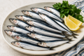 Boquerón