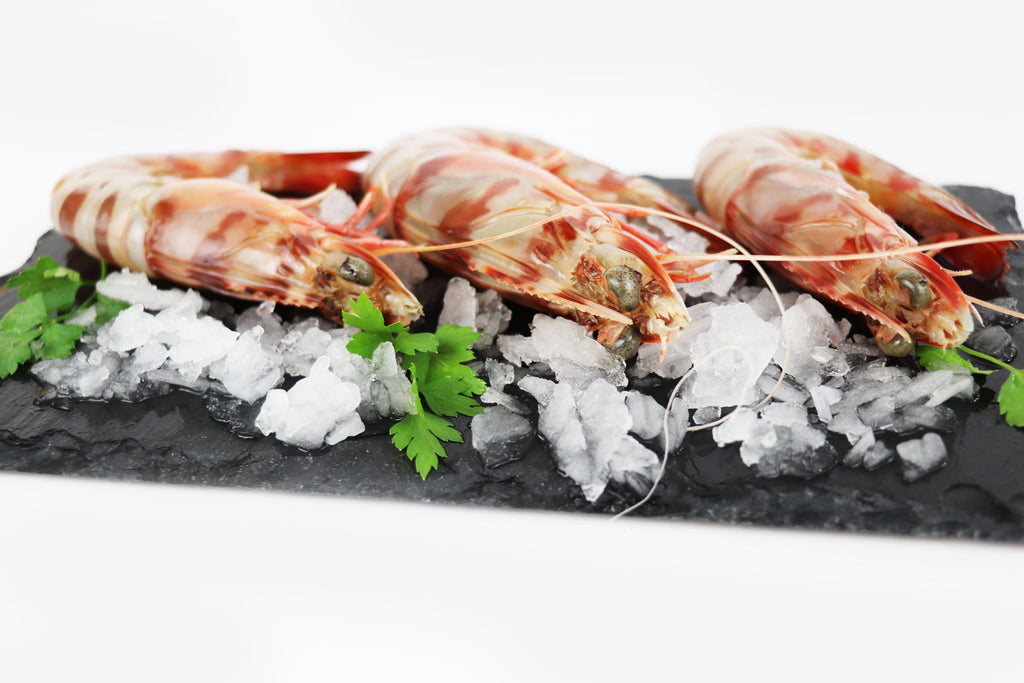 Langostino Tigre de Sanlúcar