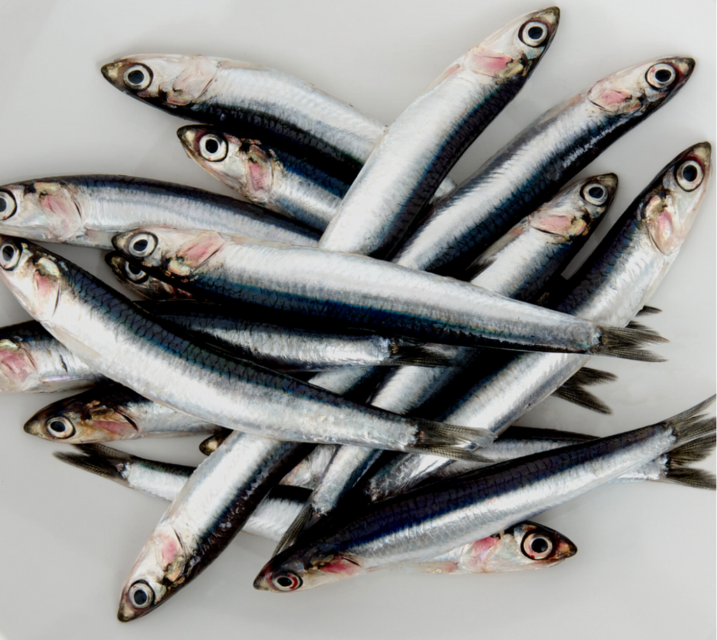 Boquerón