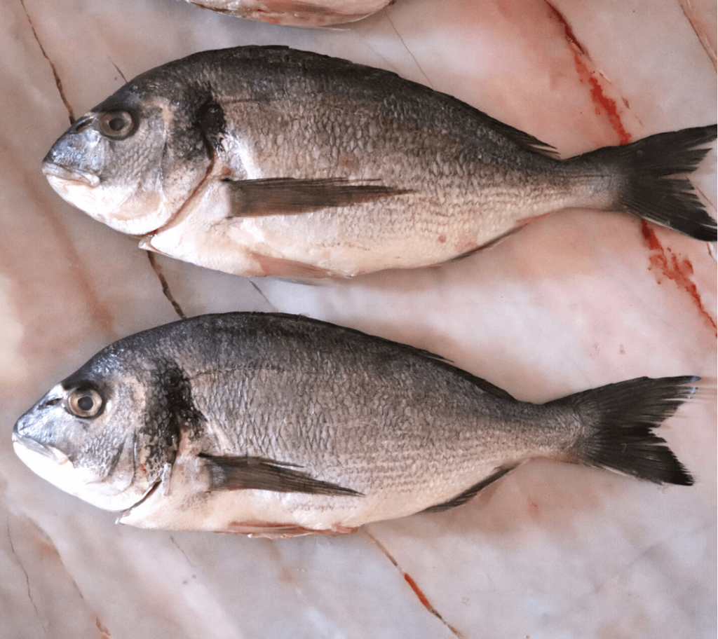 Dorada Salvaje