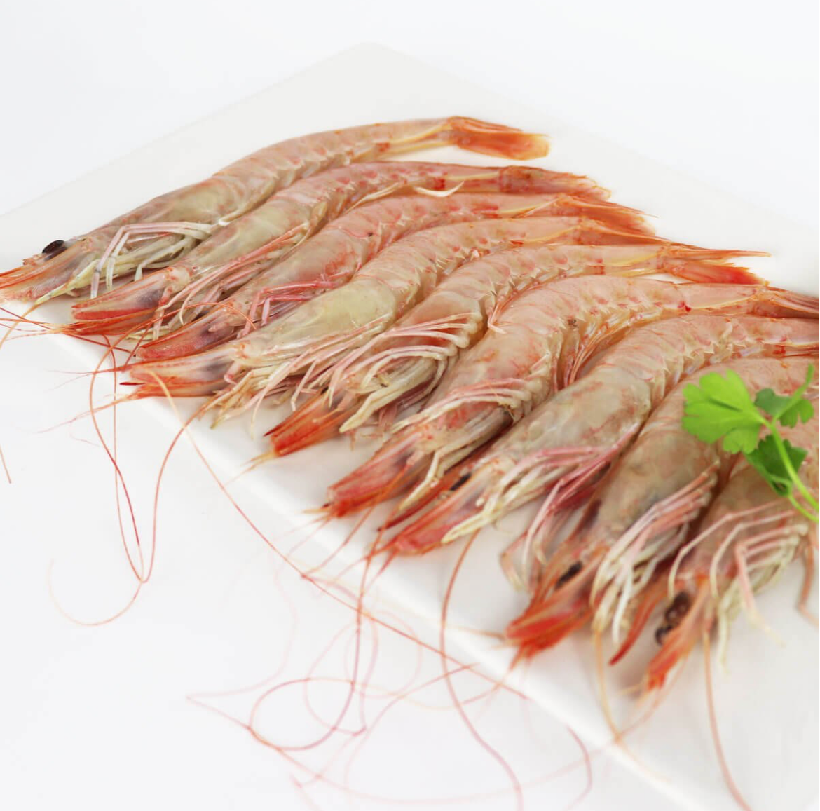 Gamba blanca de Huelva