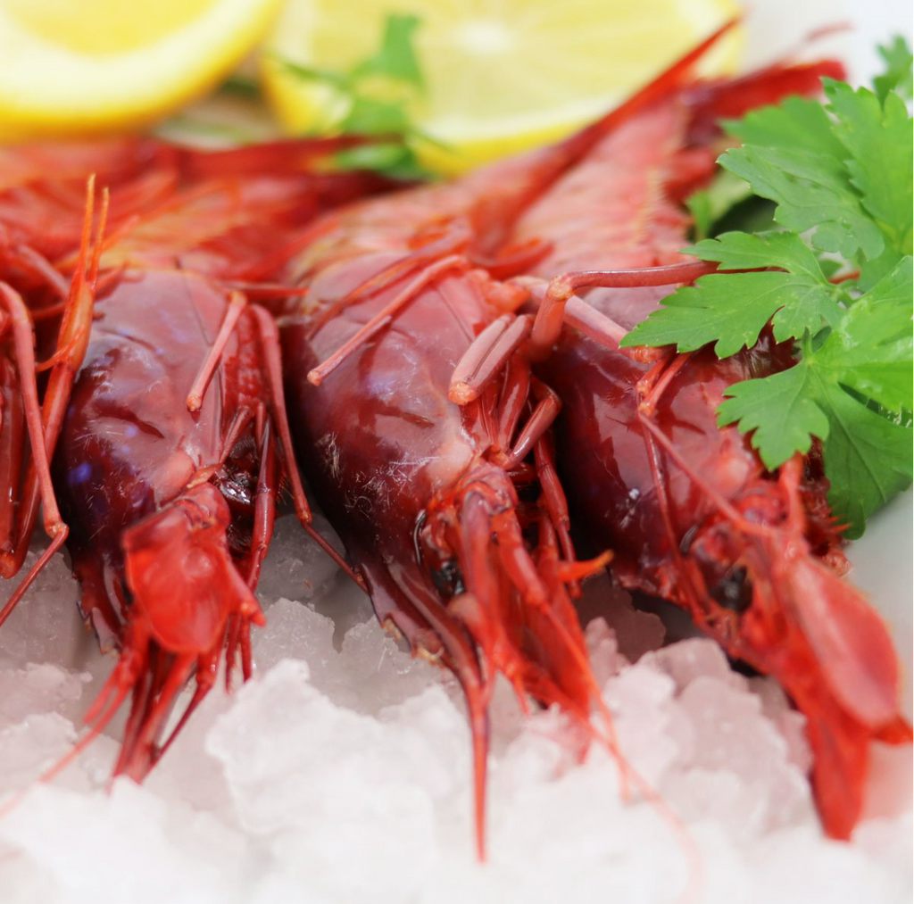 Gamba Roja de Huelva