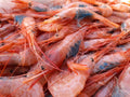 Quisquillón de Huelva