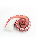 Rejo de pulpo
